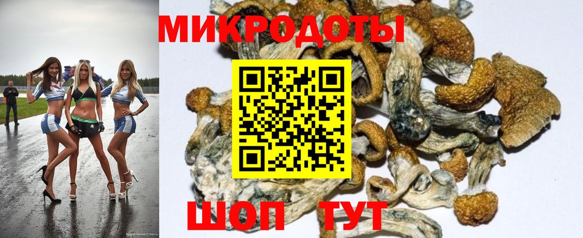 Псилоцибиновые грибы MAGIC MUSHROOMS Королёв