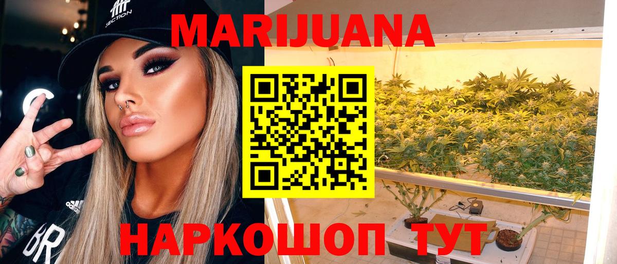 Канабис планчик Королёв